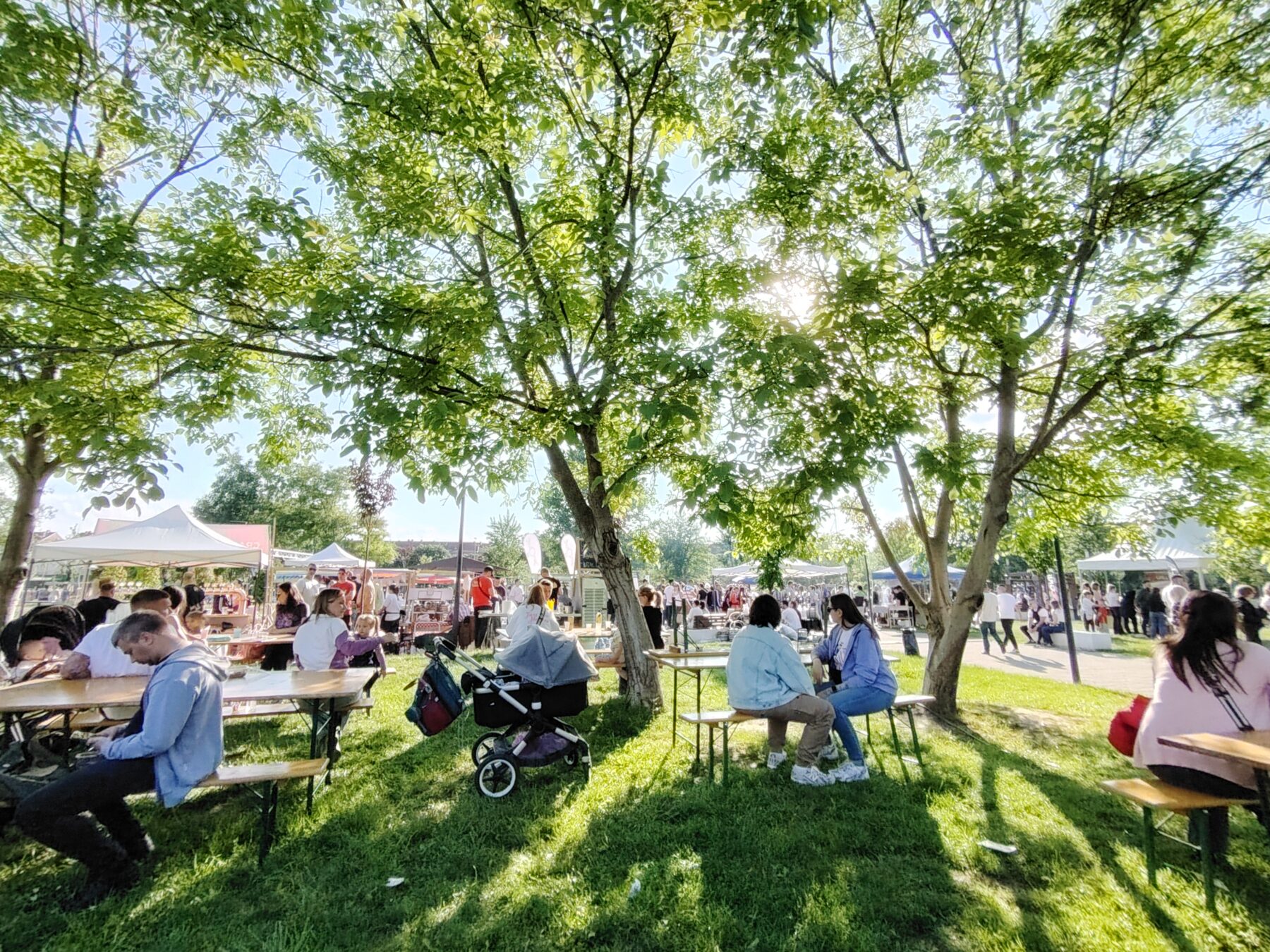 Novi Park in Novi Sad