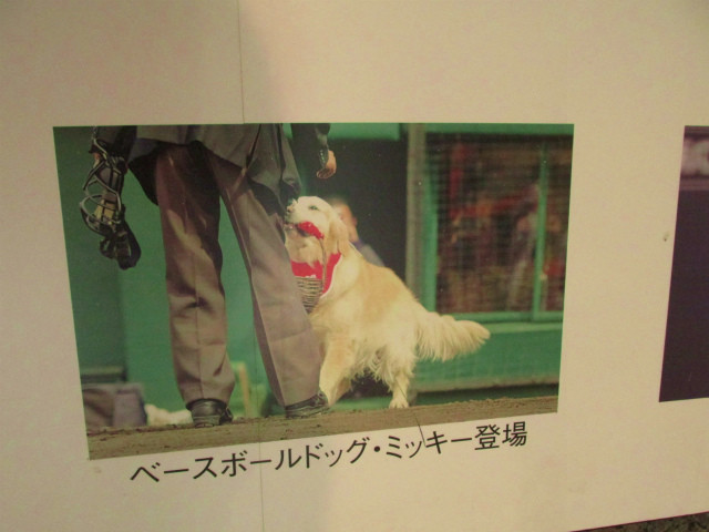 rabuka blog-IMG_6517.jpg