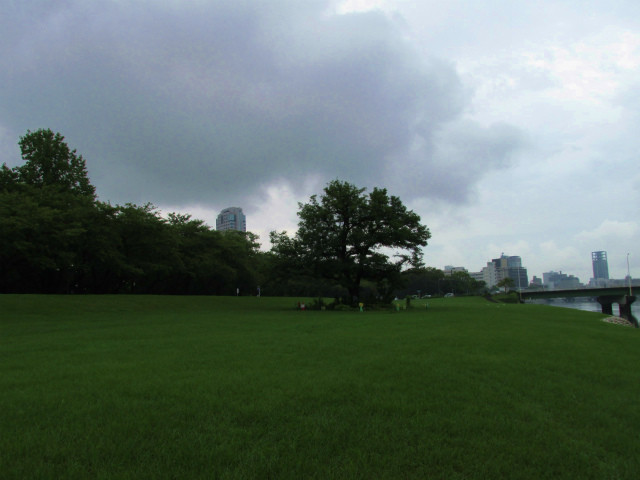 rabuka blog-IMG_6544.jpg