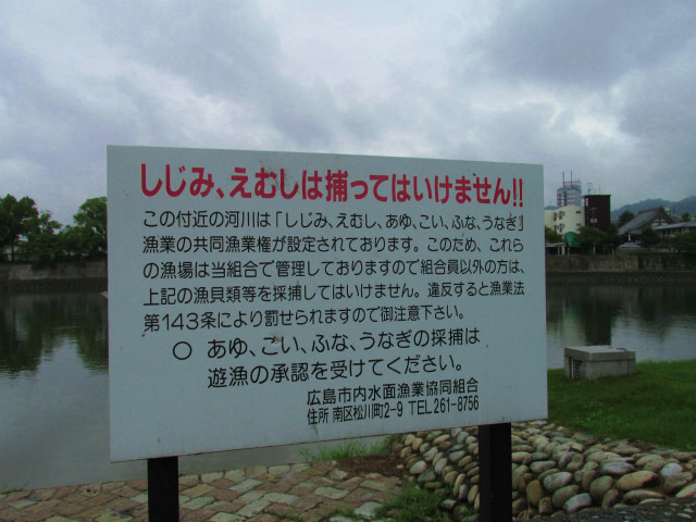 rabuka blog-IMG_6546.jpg