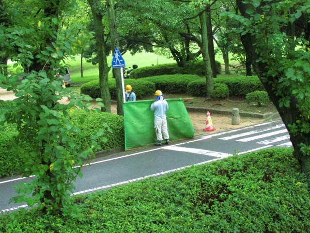 rabuka blog-IMG_6551.jpg