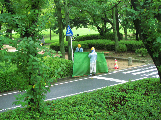 rabuka blog-IMG_6550.jpg