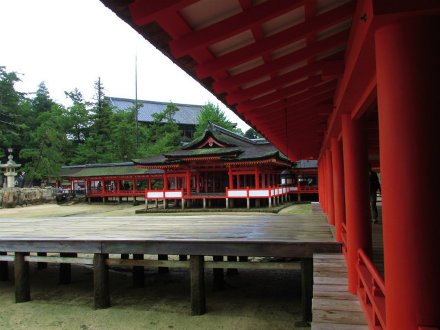 rabuka blog-IMG_6611.jpg