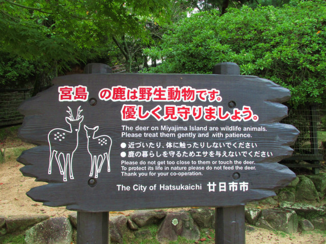 rabuka blog-IMG_6616.jpg