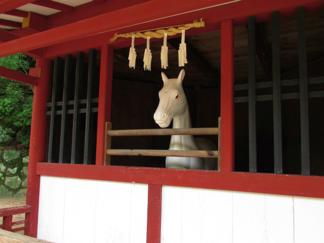 rabuka blog-IMG_6617.jpg